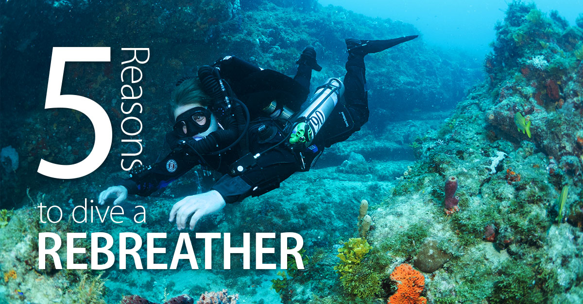 Five Reasons To Dive A Rebreather Laptrinhx News