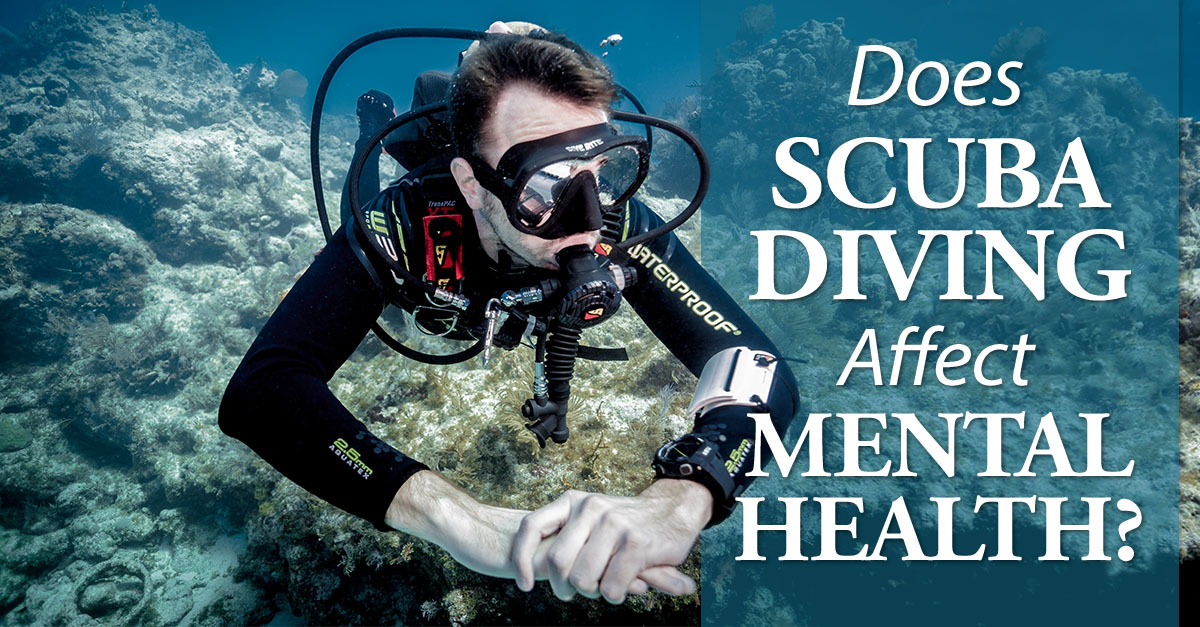 Learn To Dive Sdi Tdi Erdi Pfi