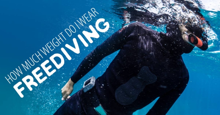 How Much Weight Should I Wear Freediving? - International Training 