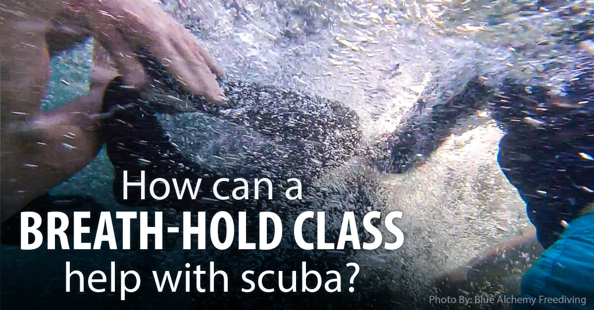 How can a breath-hold class help with scuba? - International Training - SDI | TDI | ERDI | PFI