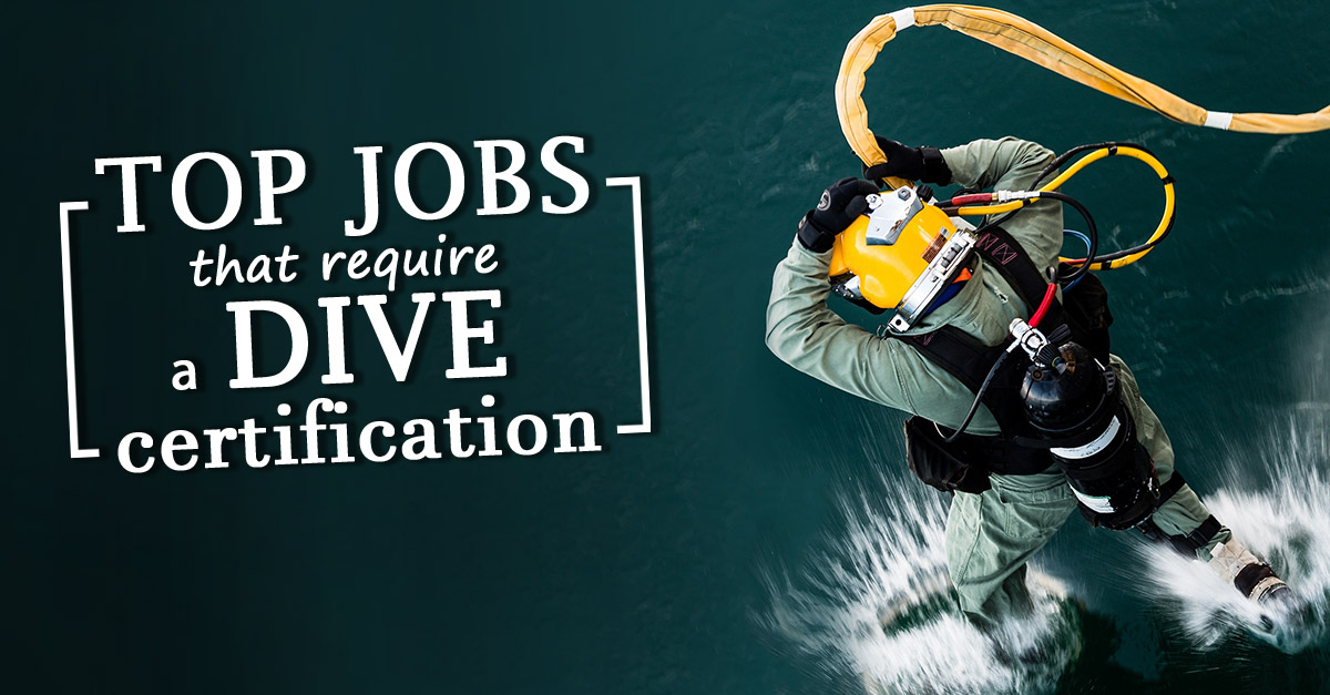 Top Jobs in Scuba Diving - International Training - SDI, TDI, ERDI