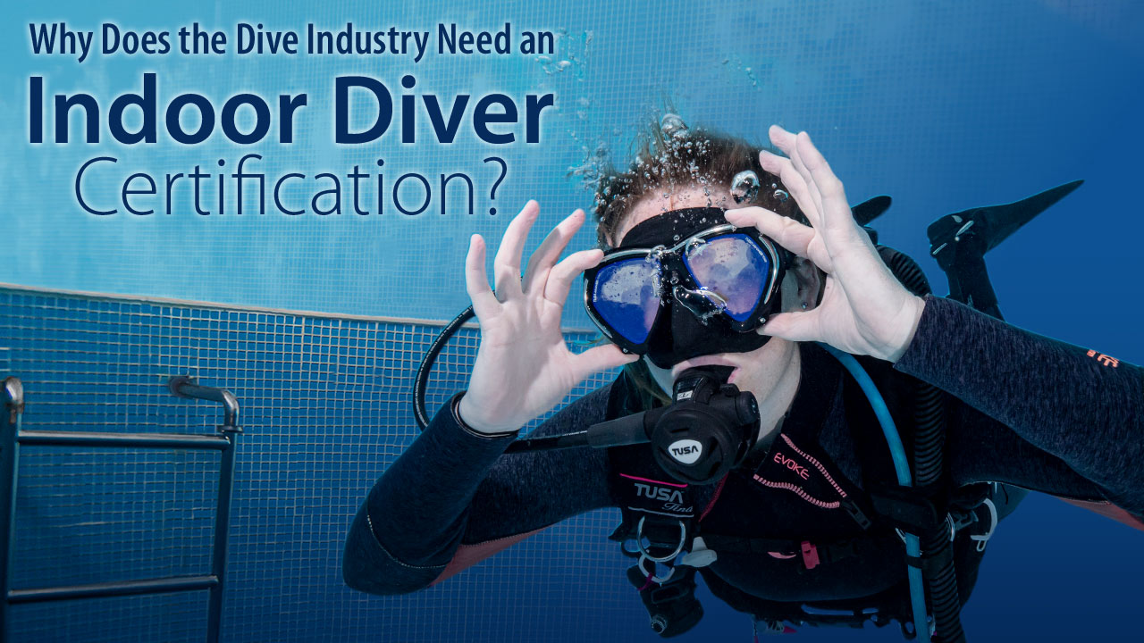 Why Does the Dive Industry Need an Indoor Diver Certification ...