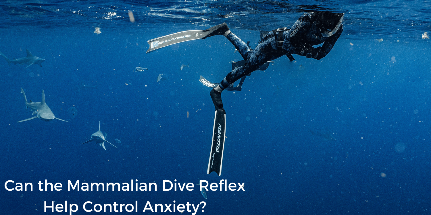 Can the Mammalian Dive Reflex Help Control Anxiety? | LaptrinhX / News