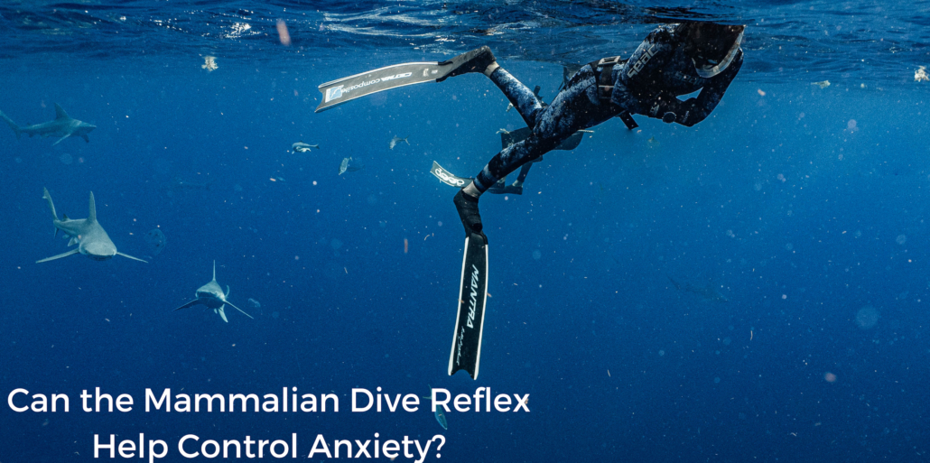 Can the Mammalian Dive Reflex Help Control Anxiety? - International