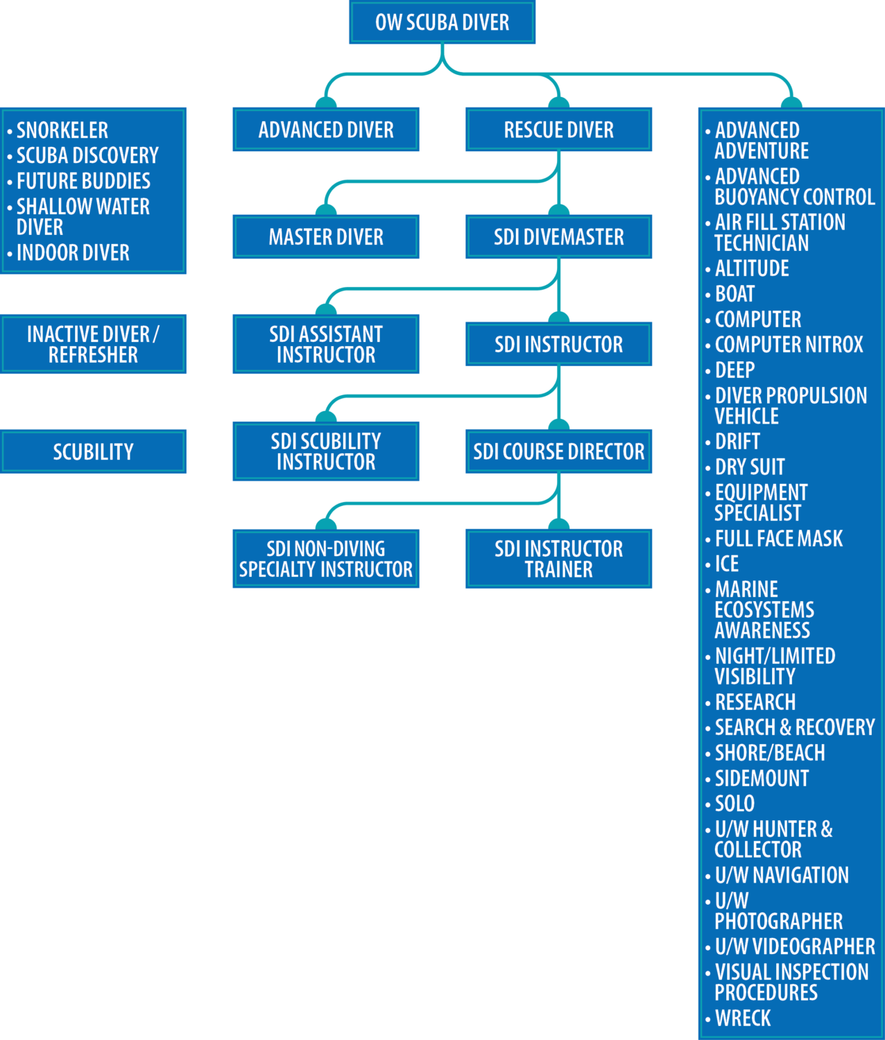 a Certified Scuba Diver International Training SDI TDI